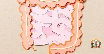 alimentos que beneficiam o intestino